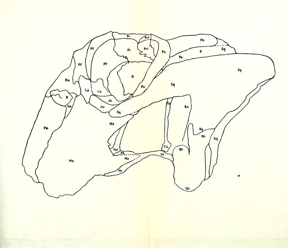 n88_w1150