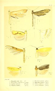 n56_w1150