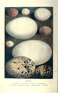 n245_w1150