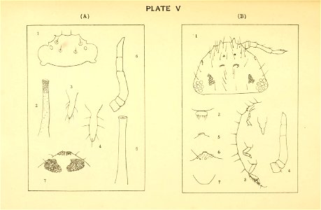 n148_w1150