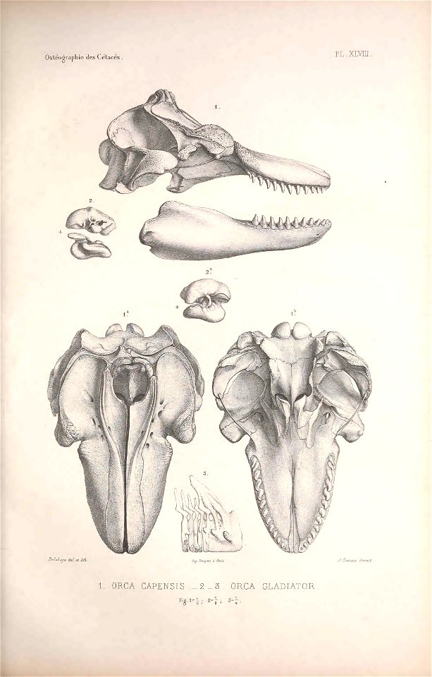 n128_w1150