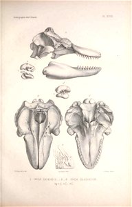 n128_w1150