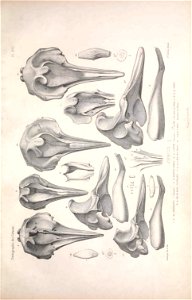 n56_w1150