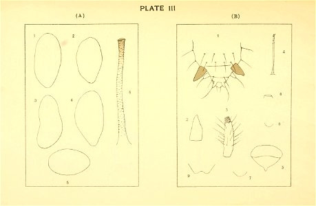 n144_w1150