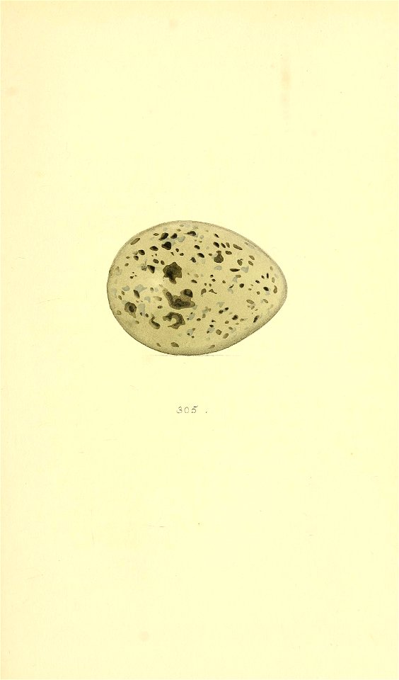 n246_w1150