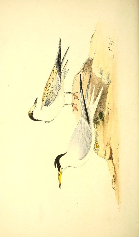 n171_w1150