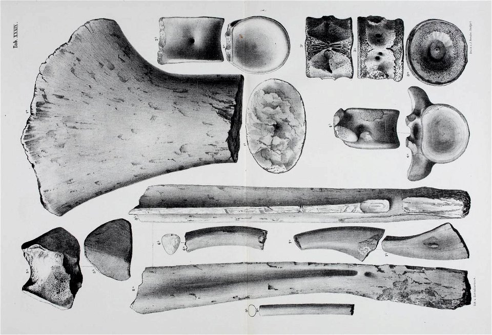 n178_w1150