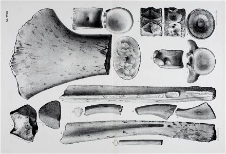 n178_w1150