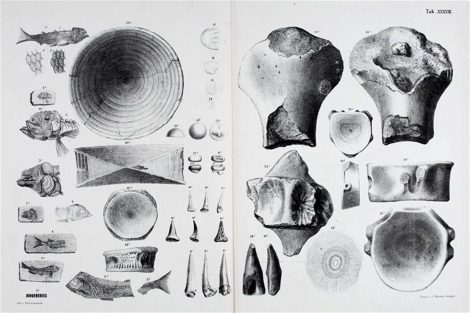 n172_w1150