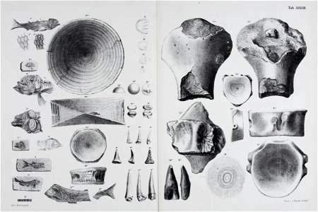 n172_w1150