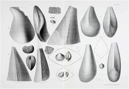 n106_w1150