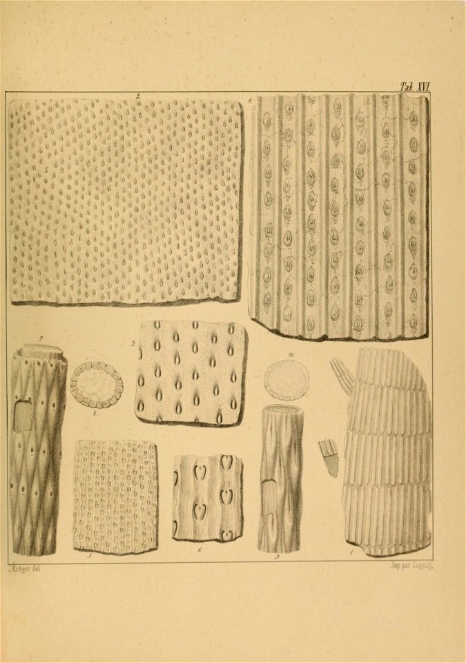 n62_w1150