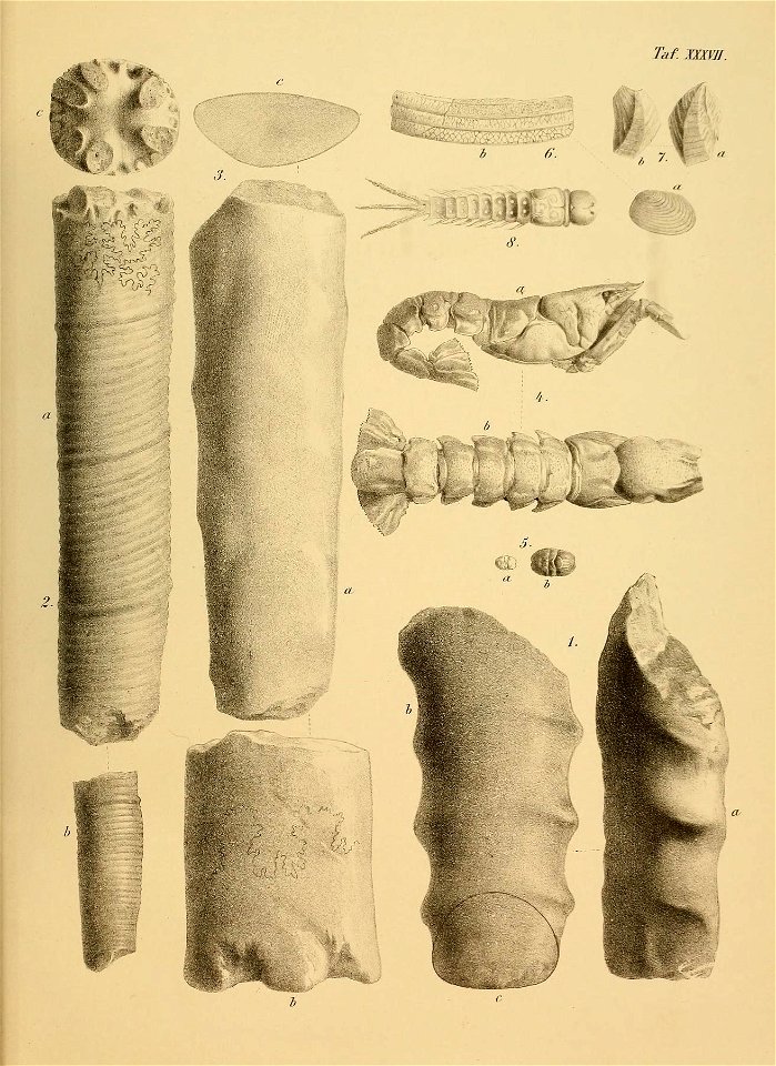 n166_w1150