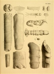n166_w1150