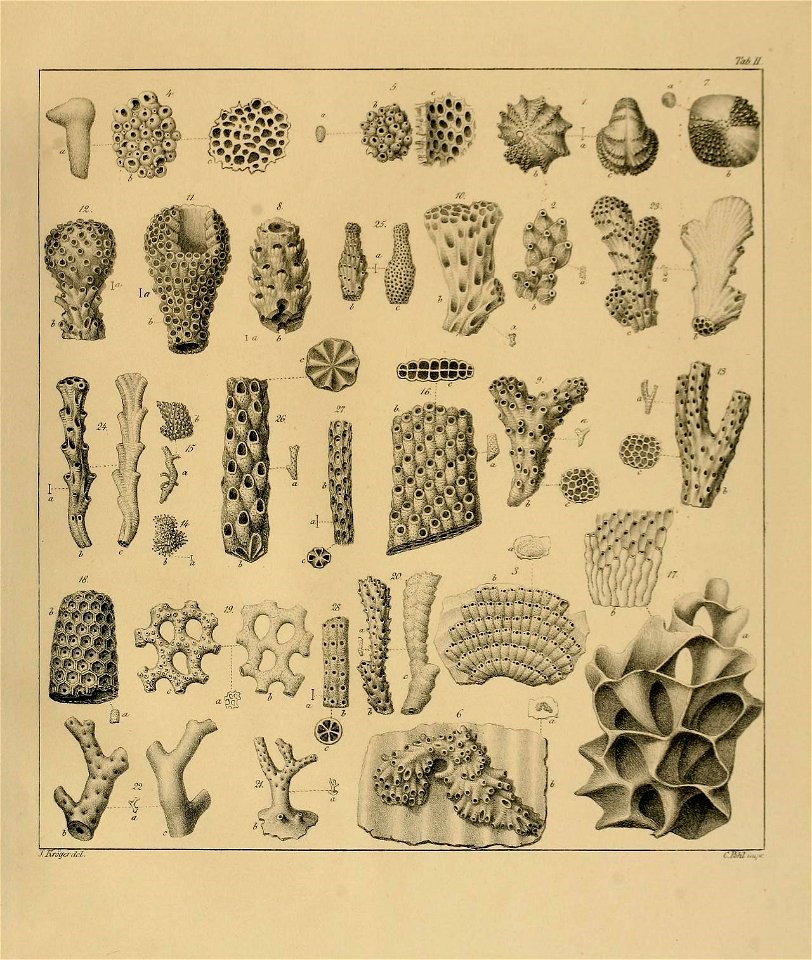 n16_w1150