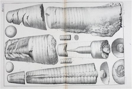 n130_w1150