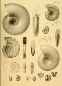 n156_w1150