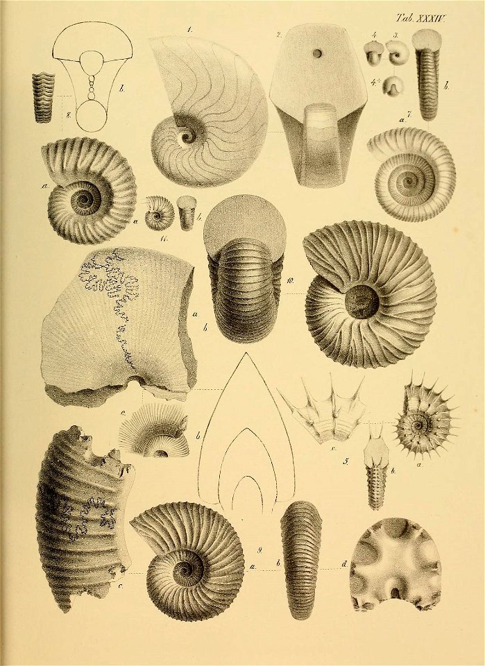 n152_w1150