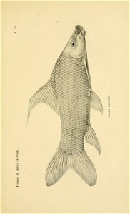 n312_w1150