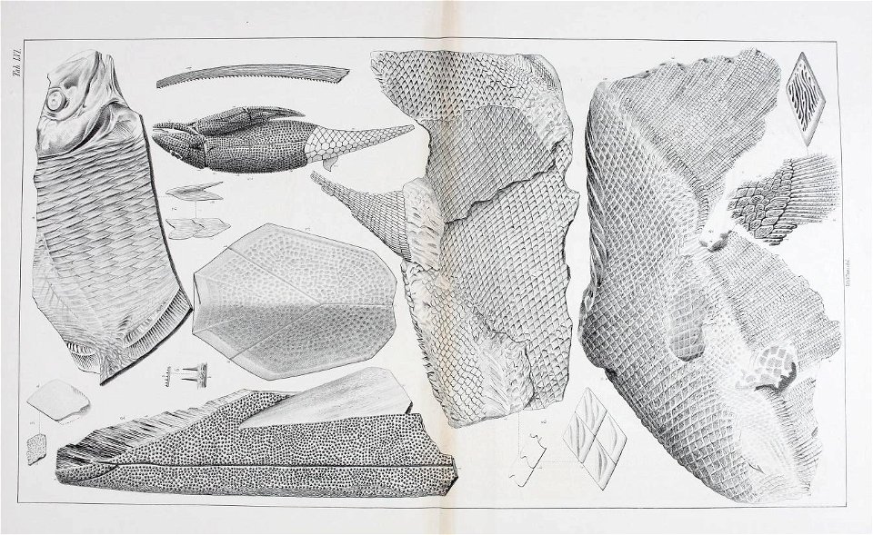 n154_w1150