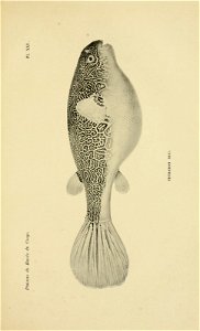 n628_w1150