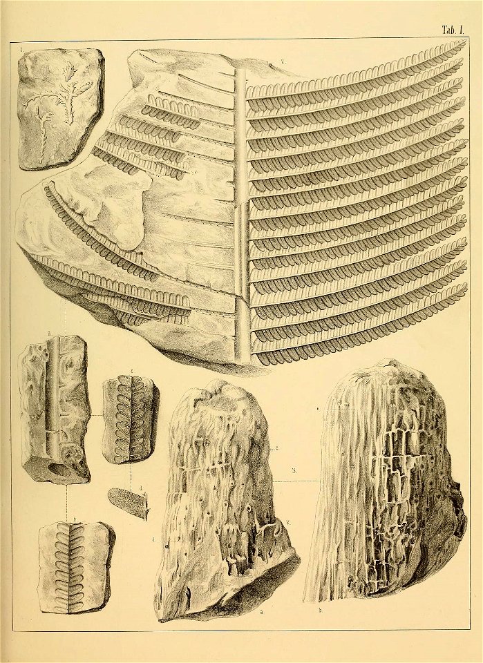 n12_w1150