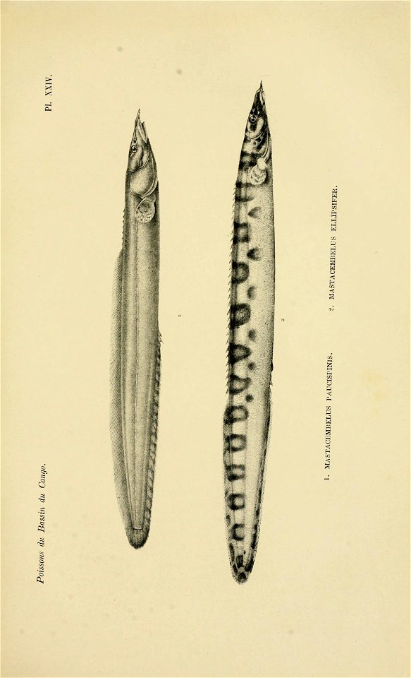 n616_w1150