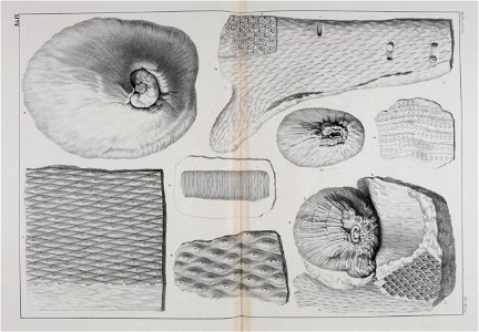 n44_w1150