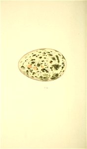 n273_w1150