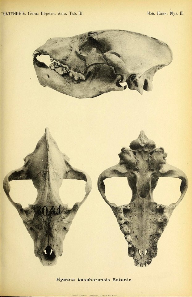n112_w1150