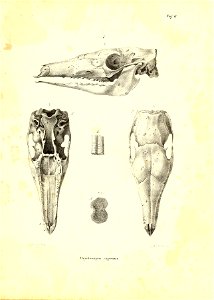 n128_w1150