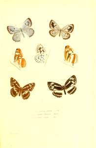 n446_w1150