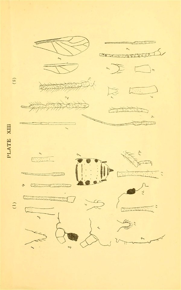 n136_w1150