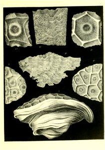 n696_w1150