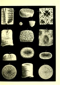 n206_w1150