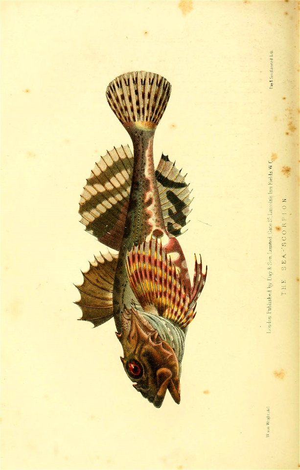 n583_w1150