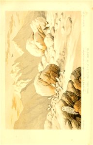 n206_w1150