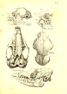 n126_w1150