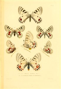 n616_w1150
