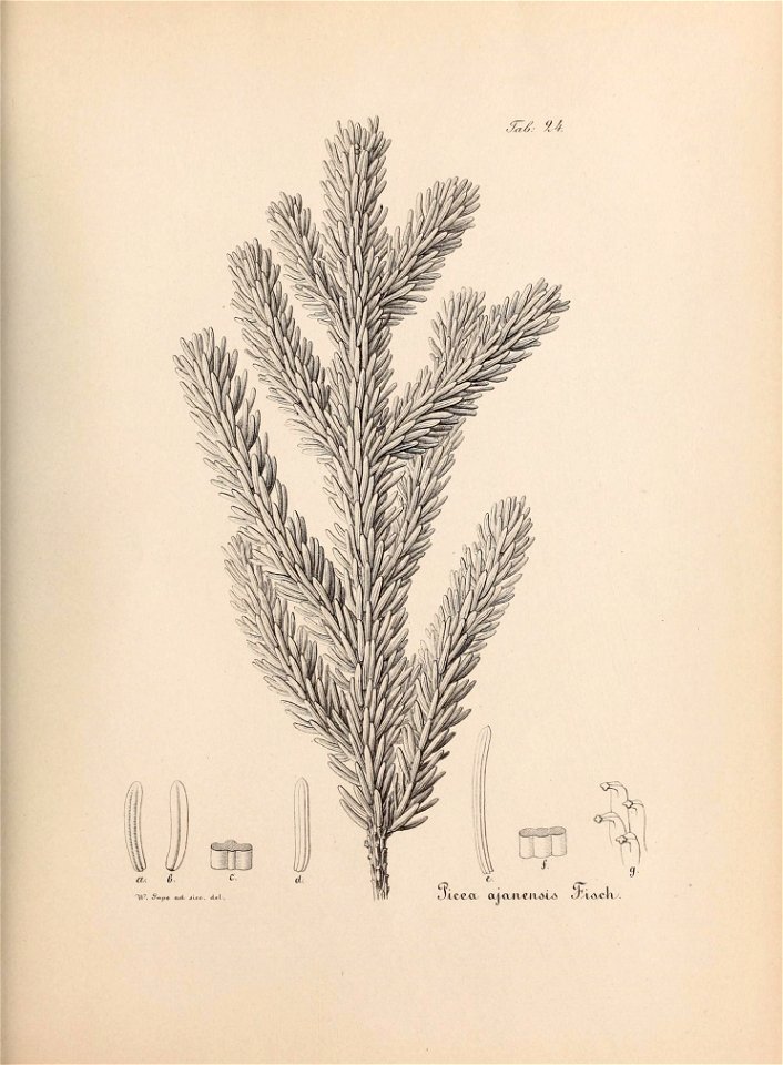 n638_w1150