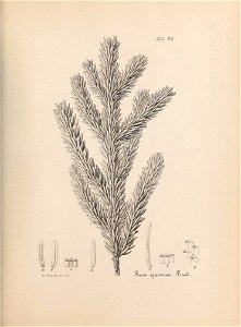 n638_w1150