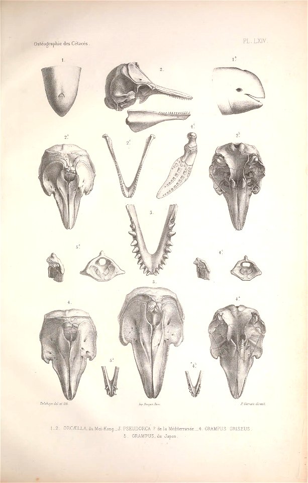 n162_w1150