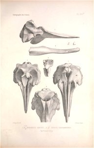 n58_w1150
