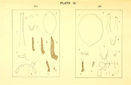 n146_w1150