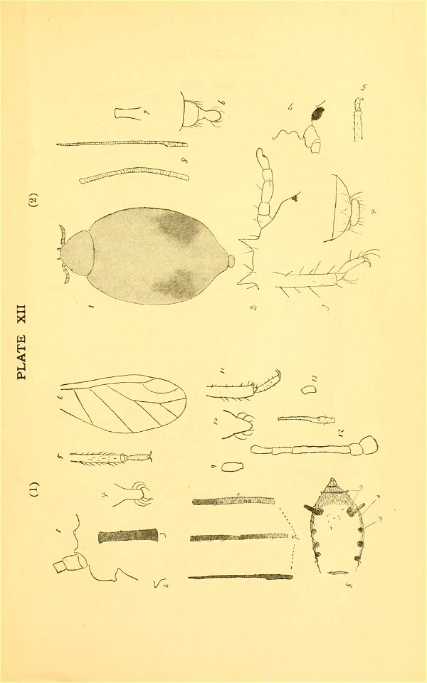 n134_w1150