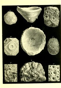 n692_w1150