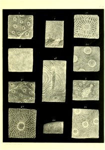 n574_w1150