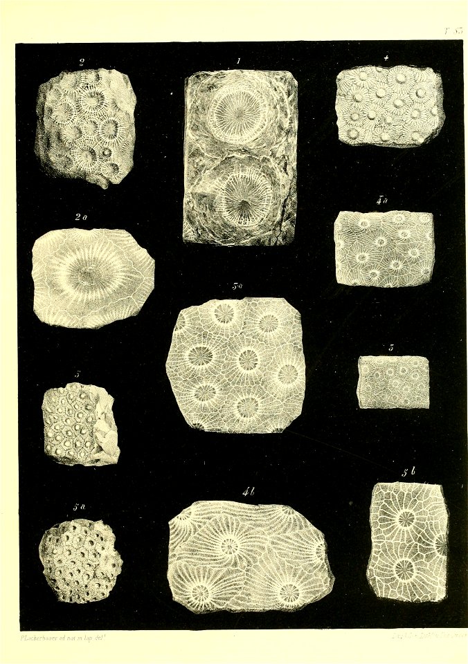 n570_w1150