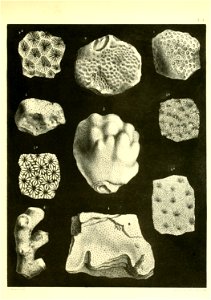 n334_w1150