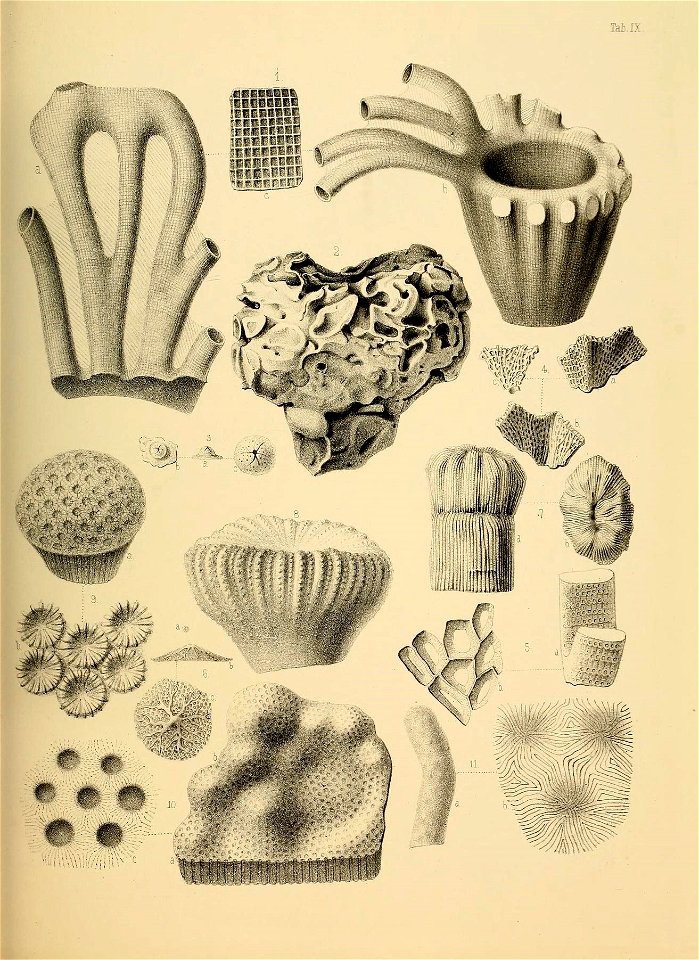 n46_w1150